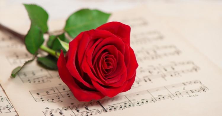 Rose and music